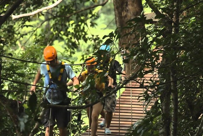 Flying Hanuman Ziplines 42 Platform With Lunch - Thrilling Zipline Platforms