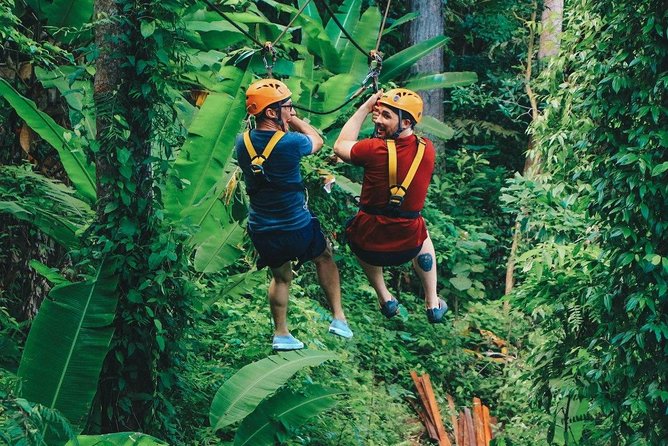 Flying Hanuman Ziplines 42 Platform With Lunch - Scenic Nature Experience