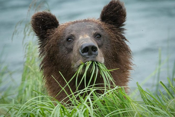 Focus on Haines Private Nature / Photography Tour - Inclusions and Whats Provided