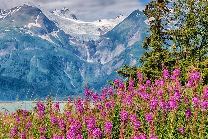 Focus on Haines Private Nature / Photography Tour - Booking and Confirmation Process