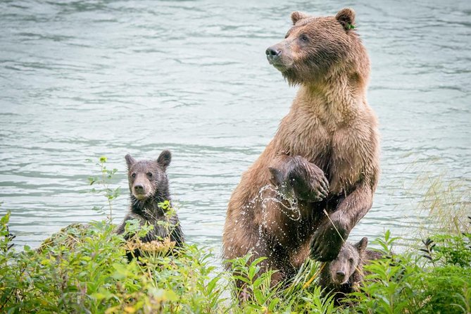 Focus on Haines Private Nature / Photography Tour - Photography Guidance and Advice