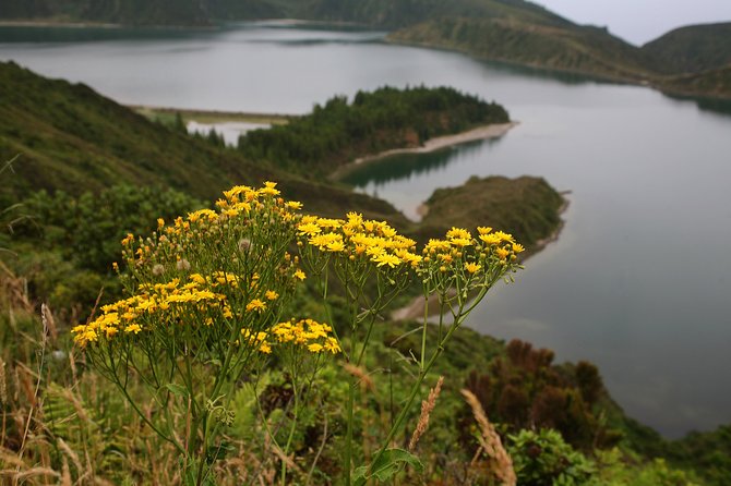 Fogo Lake Hiking Tour - Full Day - Meeting Point and Pickup