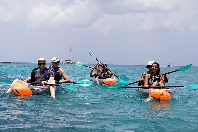 Folkestone Coral Reef Clear Kayak Tour - The Sum Up