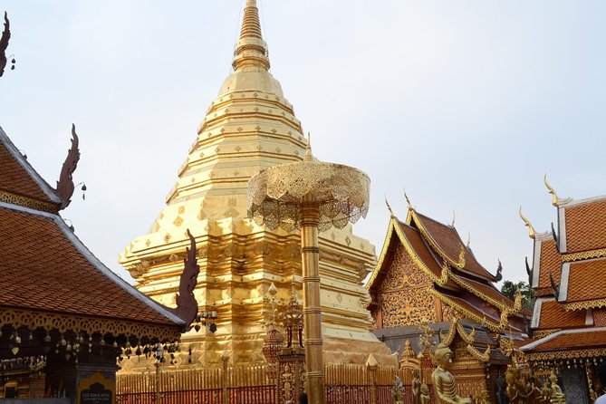 Follow Monks Trails Hiking & Alms Offering Doi Suthep - Alms Offering at Tat Bat