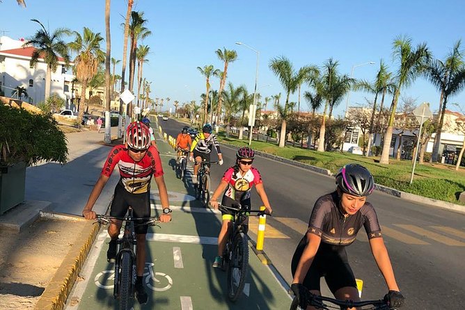 Following the Bike Lane, Discover the Main Attractions of San José Del Cabo - Taking in the Art Gallery District