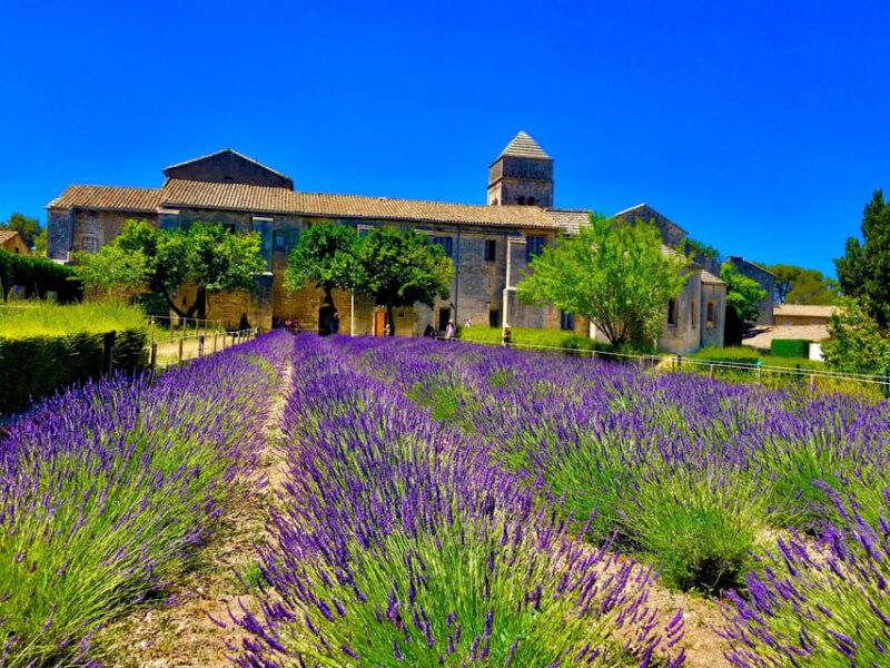 Following the Steps of Van Gogh - Booking Information