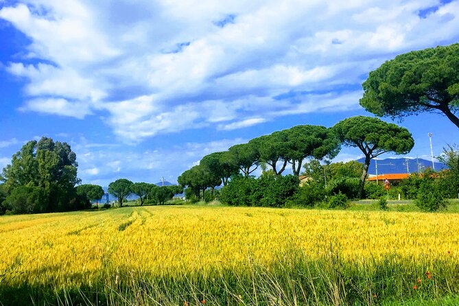 Following the Truffle Trail and Pisa Gastronomic Tour From Lucca - Appreciating the Scenic Countryside of Lucca