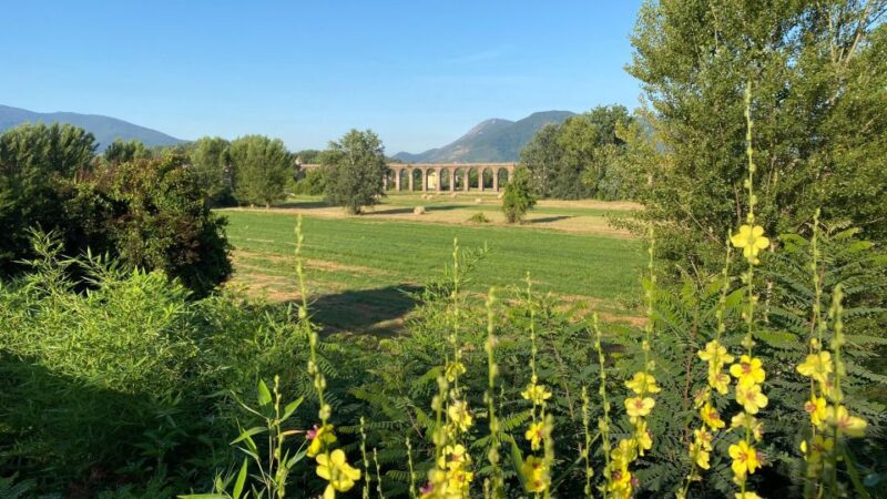 Following the Truffle Trail: Gastronomic Journey From Lucca - Frequently Asked Questions