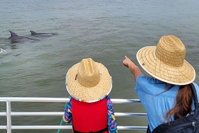 Folly Beach Dolphin Viewing Boat Excursion and Estuary Tour - Location and Accessibility