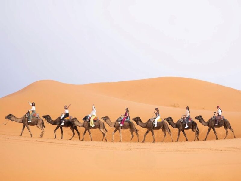 Fom Marrakech: 4-Day Desert Tour to Fez - Accommodation Details