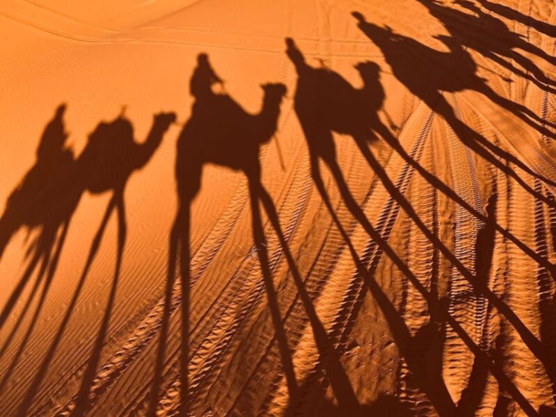 Fom Marrakech: 4-Day Desert Tour to Fez - Transportation and Guide