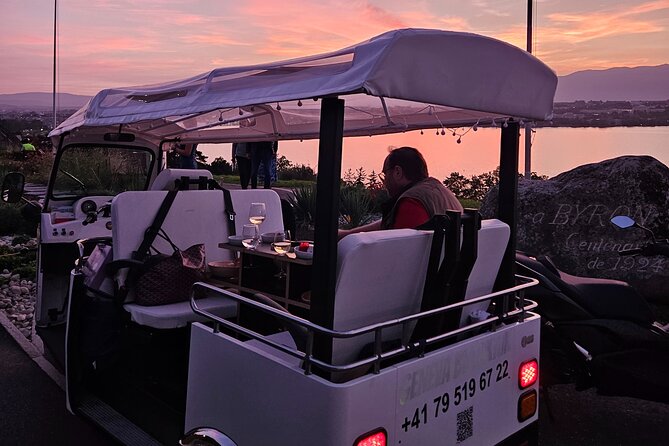 Fondue and Wine Private Tuk Tuk Tour in Geneva - Culinary Delight