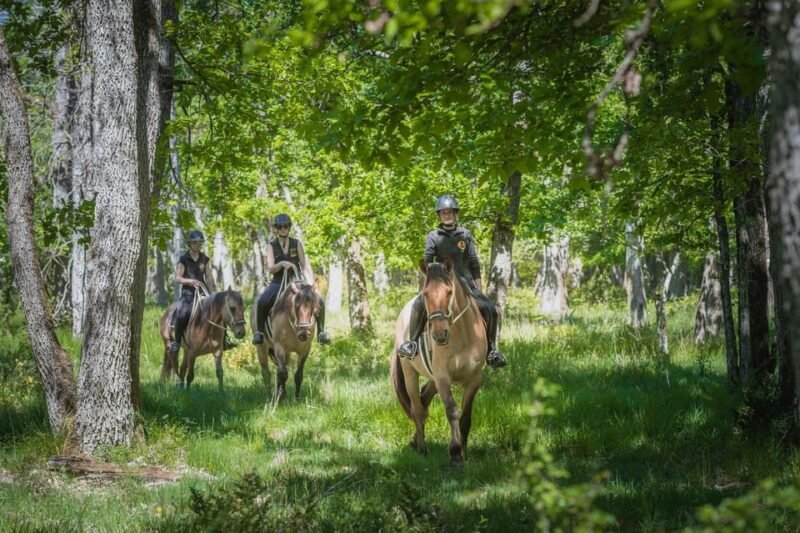 Fontainebleau: Horse-riding, Gastronomy & Château - Discovering the Forest of Fontainebleau