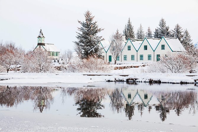 Fontana Geothermal Spa and Golden Circle Tour From Reykjavik - Traveler Feedback and Experiences