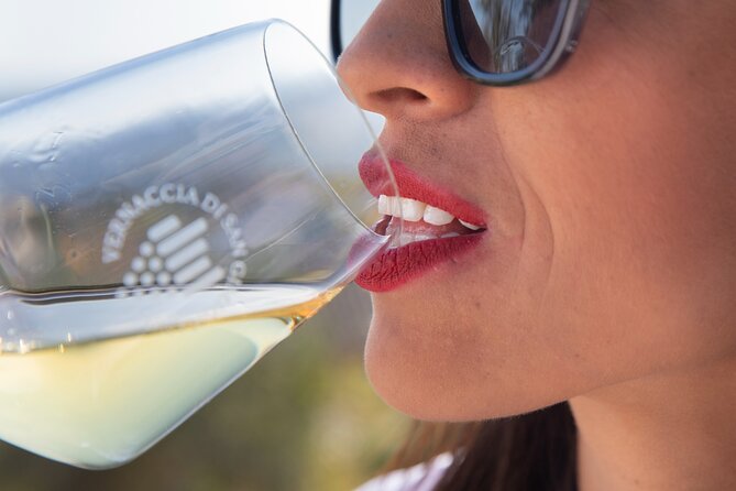 Food and Wine Lesson and Wine Tasting in San Gimignano - Wheelchair and Stroller Access