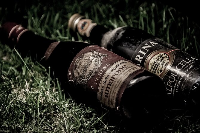 Food and Wine Tasting in Valpolicella - Valpolicella Region