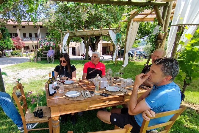 Food and Wine Tasting of Valtenesi and Lugana - Activities Included