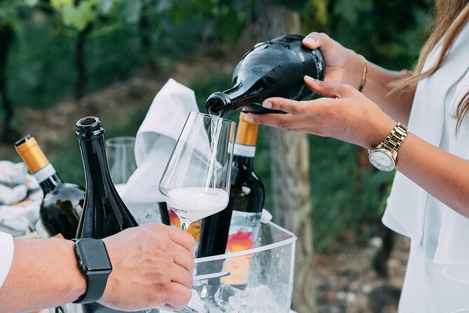 Food and Wine Tasting of Valtenesi and Lugana - Additional Information