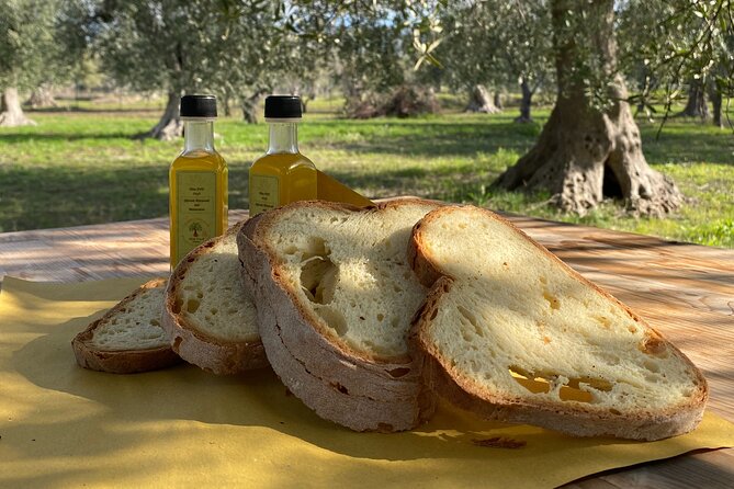 Food and Wine Tour Between the Patriarchs Olives and the Oil Temples - Location and Accessibility