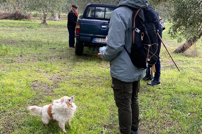 Food and Wine Tour Between the Patriarchs Olives and the Oil Temples - Customer Reviews and Feedback