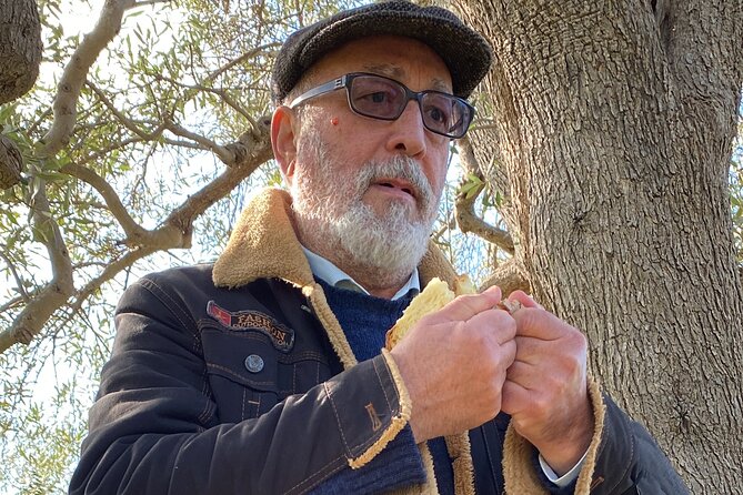 Food and Wine Tour Between the Patriarchs Olives and the Oil Temples - Potential Audience Considerations