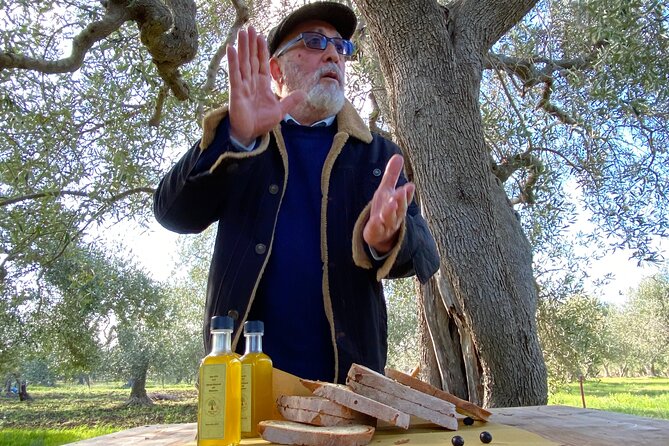 Food and Wine Tour Between the Patriarchs Olives and the Oil Temples - Additional Tour Information