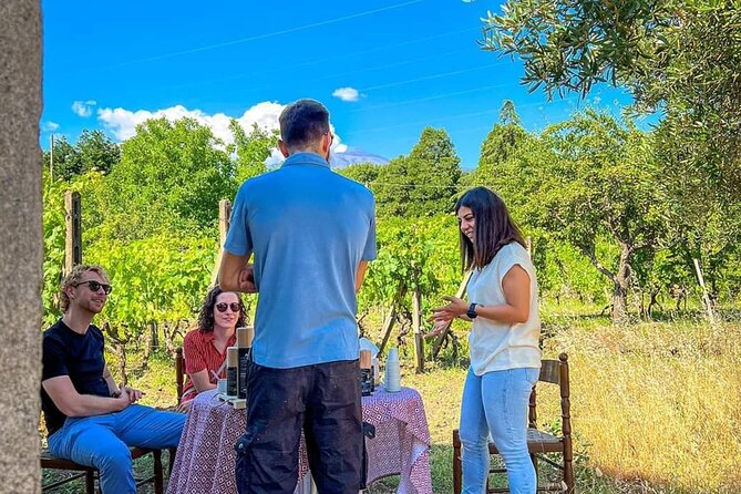 Food and Wine Tour From Taormina With Lunch in a Etna Winery - Etna Winery Lunch
