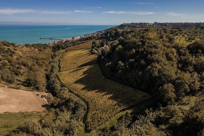 Food and Wine Tour of San Vito Chietino - Booking Information