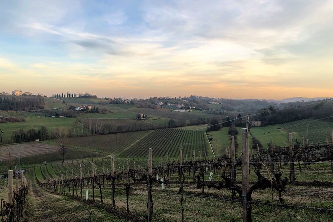 Food and Wine Tour on the Prosecco Hills From Venice - Meeting and Pickup