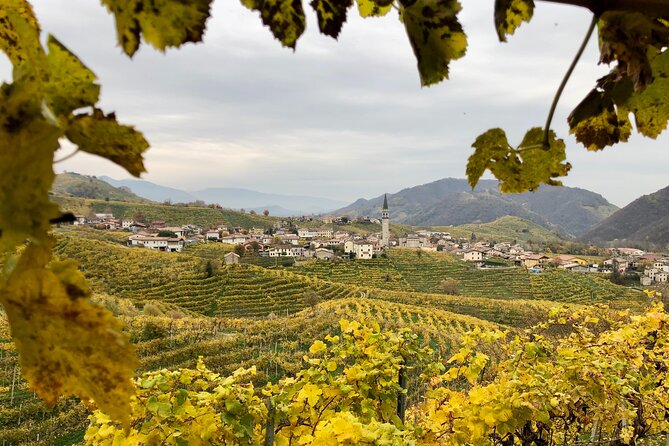 Food and Wine Tour on the Prosecco Hills From Venice - Schedule and Accessibility