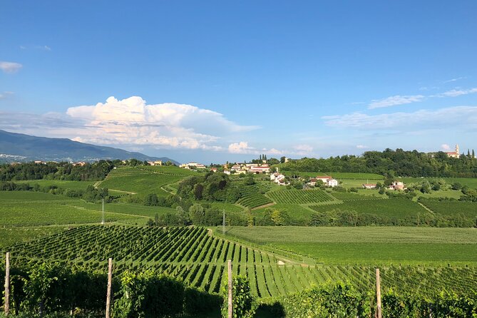 Food and Wine Tour on the Prosecco Hills From Venice - Tasting Exceptional Wines