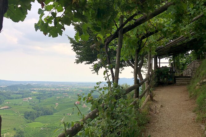 Food and Wine Tour on the Prosecco Hills From Venice - Savoring Local Cuisine