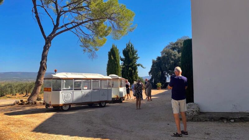Food Course at the Farmer's Place in Valencia With Wine Tasting! - Key Points