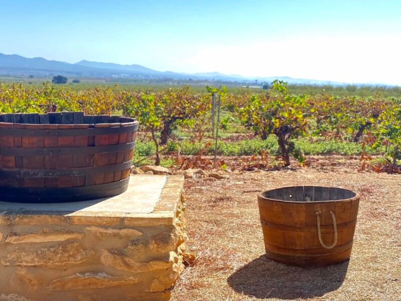 Food Course at the Farmer's Place in Valencia With Wine Tasting! - Day 1 Itinerary