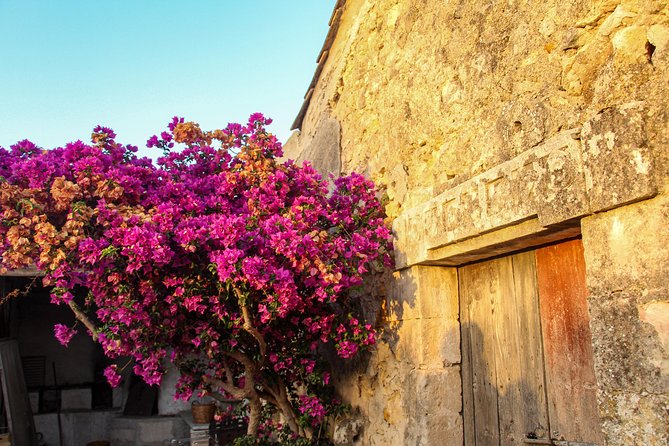 Food Experience at Our Farm in Noto Hills - Cancellation Policy