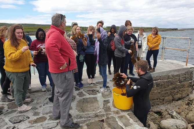 Food, Heritage & Cultural Tour Inishmore, Aran Islands. Guided. - Whats Included