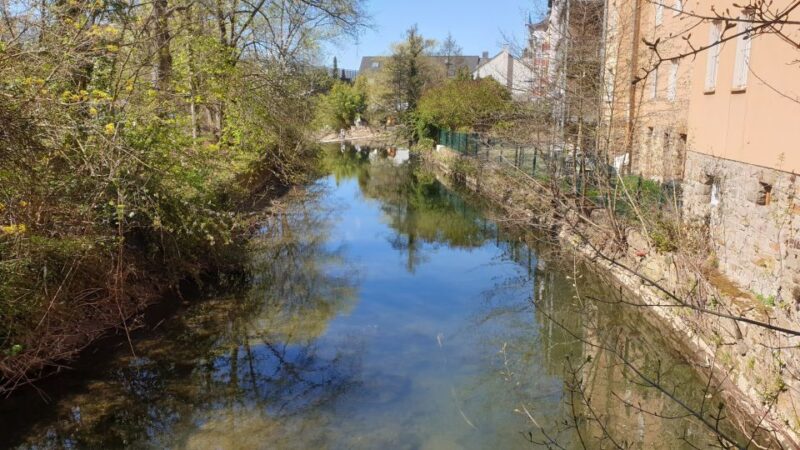 Food: Kupferdreh - Self-guided Walk Railway, Lake, History - Tour Pricing and Duration