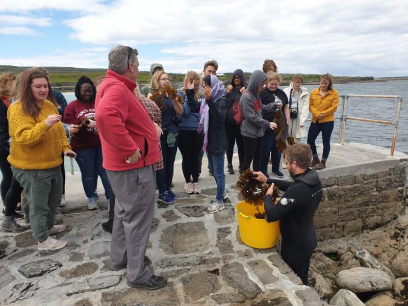 Food Tasting & Cultural Tour Inishmore, Aran Islands.Private - Highlights of the Tour