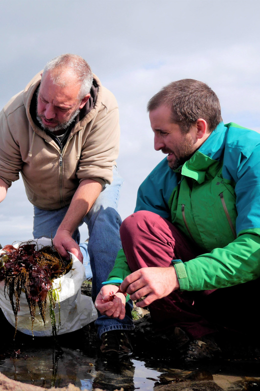 Food Tasting & Cultural Tour Inishmore, Aran Islands.Private - Participant Information