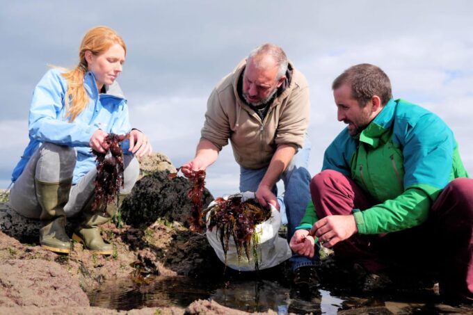 Food Tasting & Cultural Tour Inishmore, Aran Islands.Private - What to Bring