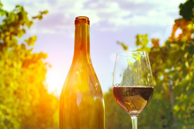 Food Tour Excursion in Provence ! - Explore Provences Culinary Delights