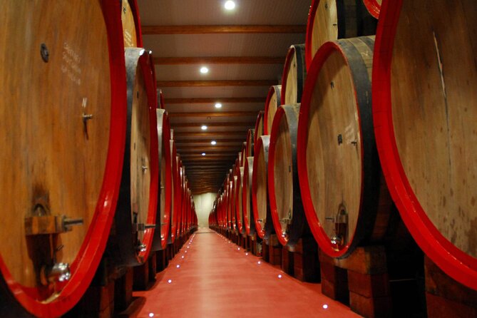 Food Tour: Parmigiano, Balsamic, Red Wine, Lunch,Transport - Parmesan Cheese Dairy