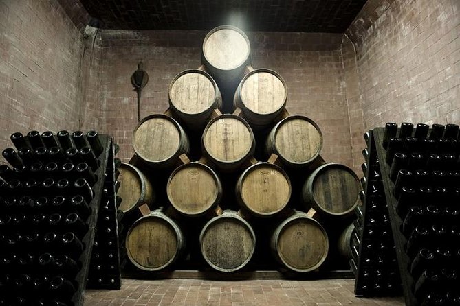 Food Tour: Parmigiano, Balsamic, Red Wine, Lunch,Transport - Private Transport