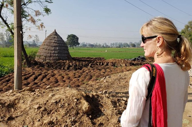 Food Tour With Cooking Class in Local Village From Delhi - Inclusions and Logistics