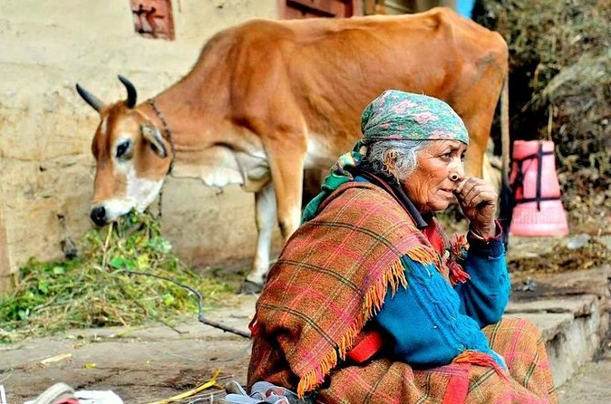 Food Tour With Cooking Class in Local Village From Delhi - Authentic Culinary Encounters