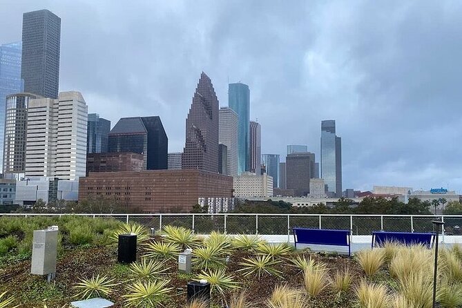 Food Walking Tour in Houston Montrose - Accessibility Considerations