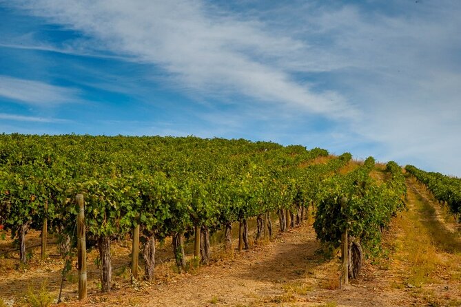 Food & Wine Tour: 11- Course Lunch, Cooking Class, Wine Tasting - Transportation and Accessibility