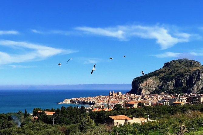 FOODIES DELIGHT and SICILIAN VILLAGE Private Exclusive Tour From Palermo - Comprehensive Terms and Conditions