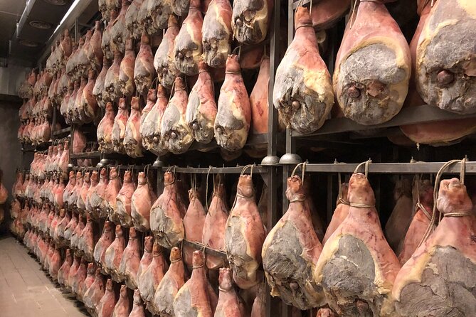 FoodTour:Prosciutto, Parmigiano, Balsamic, Lambrusco, Lunch, Transport - Key Points