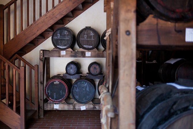 FoodTour:Prosciutto, Parmigiano, Balsamic, Lambrusco, Lunch, Transport - Transportation and Logistics